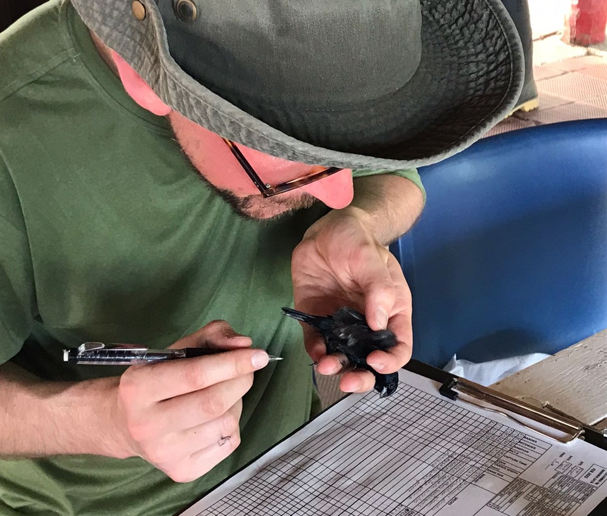 WhatsApp Image 2025-02-17 at 7.06.28 PM