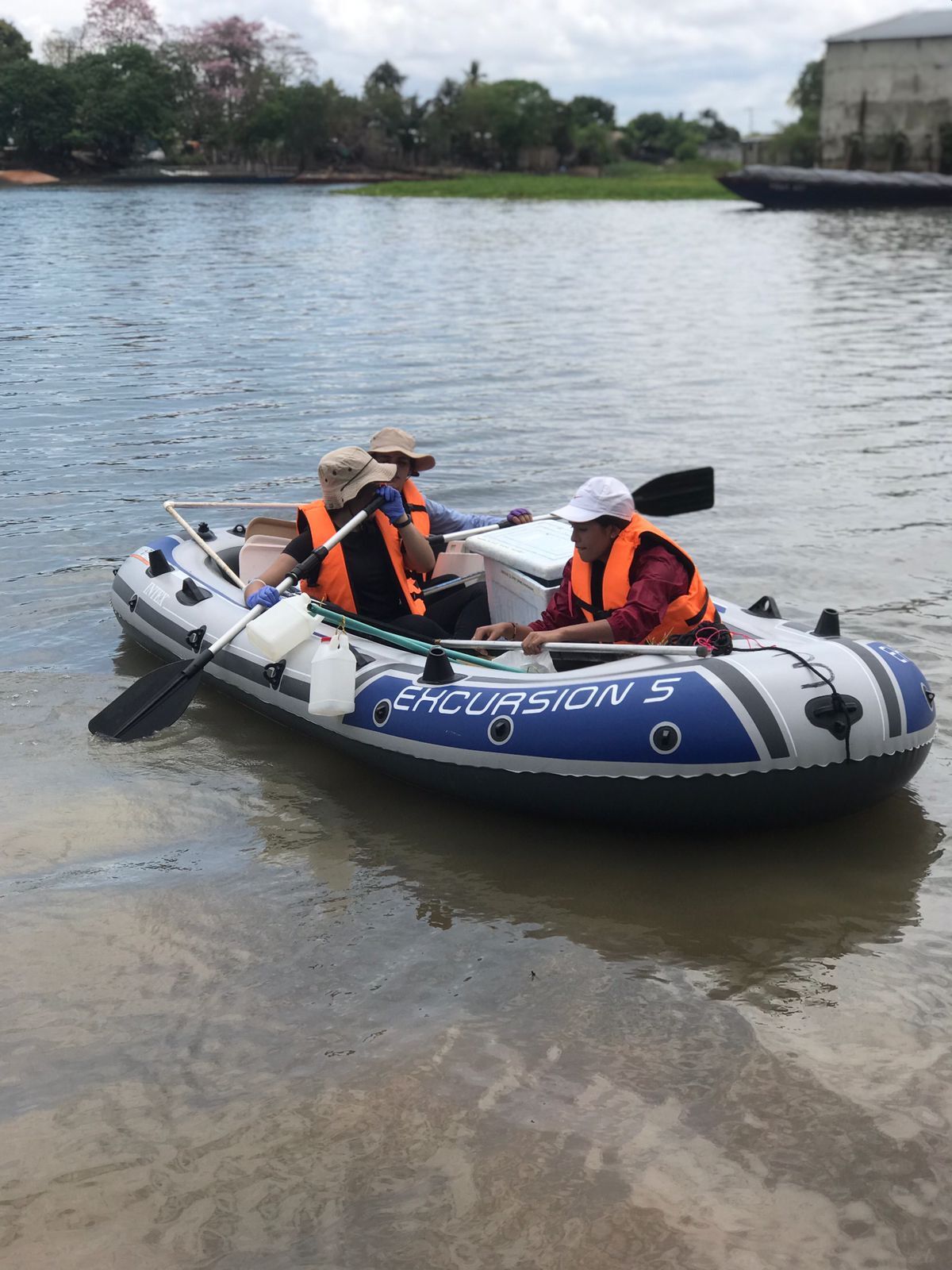 2004- Investigación UdeA