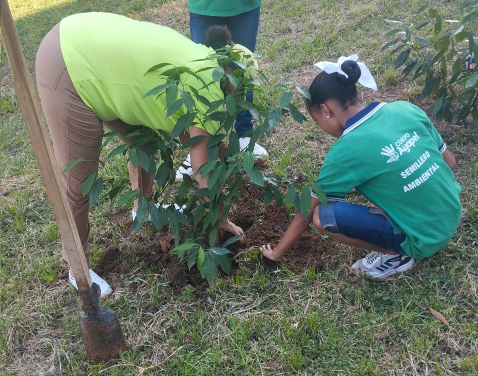 474174041_122167435022262556_6093399491679804873_n