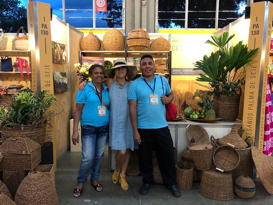 60273360_2214876178604314_3238796612704665600_n