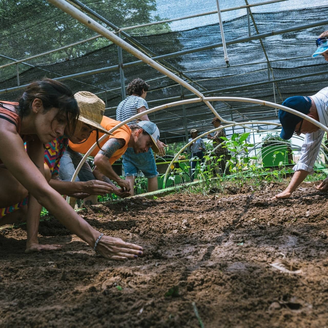 88339928_2786085078150085_9167866632595308544_n