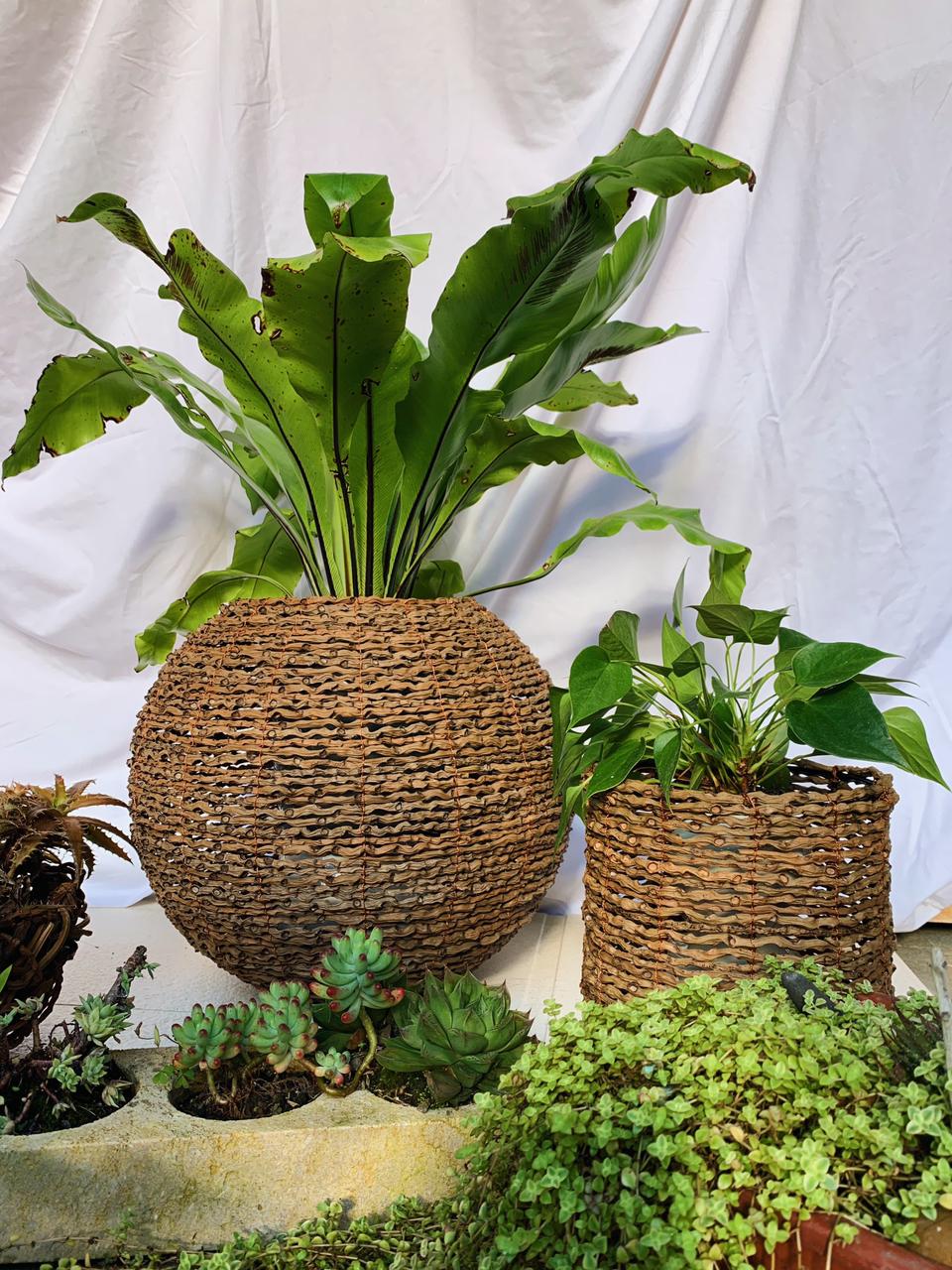 993fc3d3-56eb-41bb-ba37-b3c3e6ed4be9