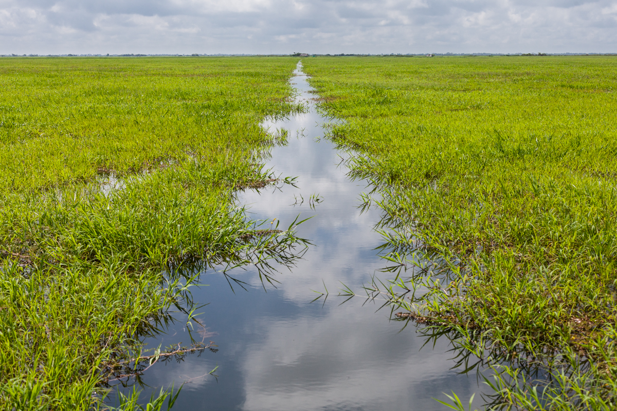 Corpoayapel julio 2016-132