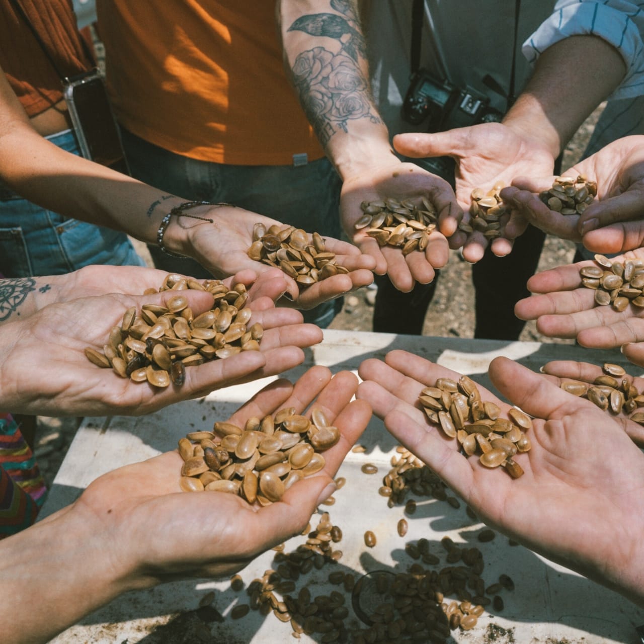 WhatsApp Image 2020-06-03 at 7.42.30 PM