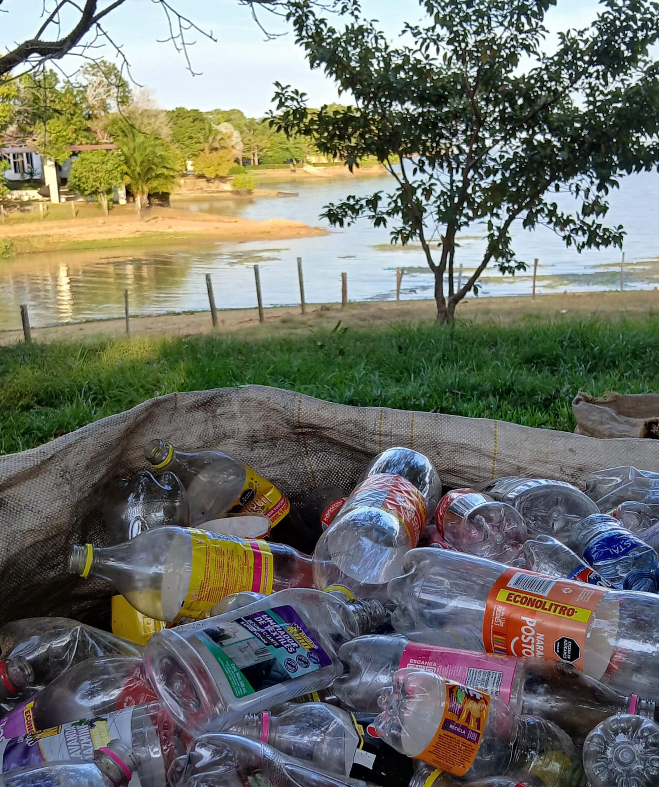 WhatsApp Image 2025-04-09 at 9.34.45 PM