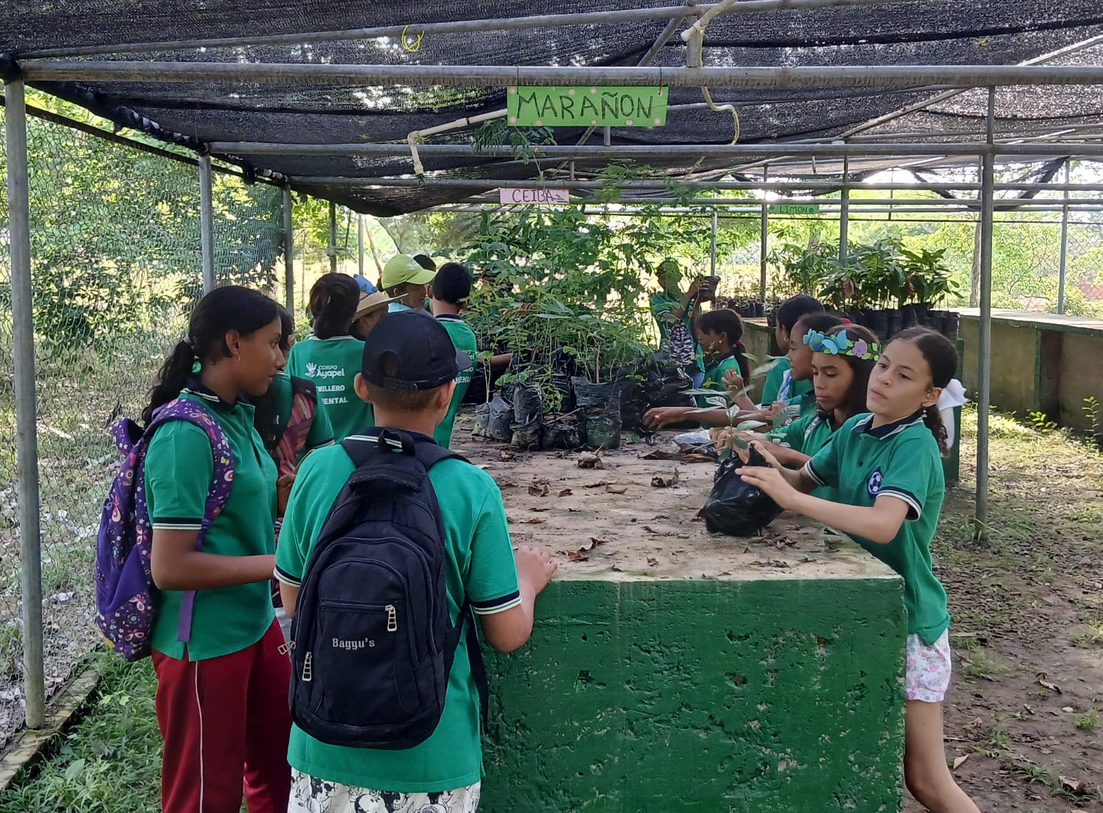 WhatsApp Image 2025-04-12 at 5.13.22 PM